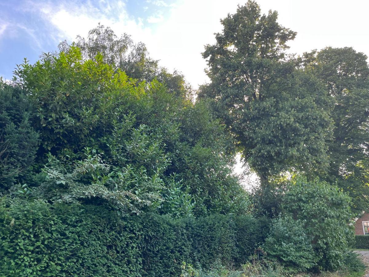 Zwols Groen Zwolle  Dış mekan fotoğraf